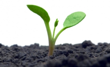 personalentwicklung mit sap personalentwicklung mit sap